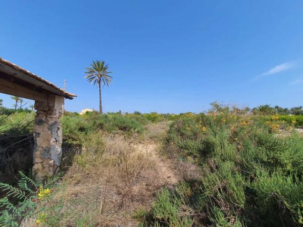 Finca rústica en camino Fondo de l'Ermita, 134