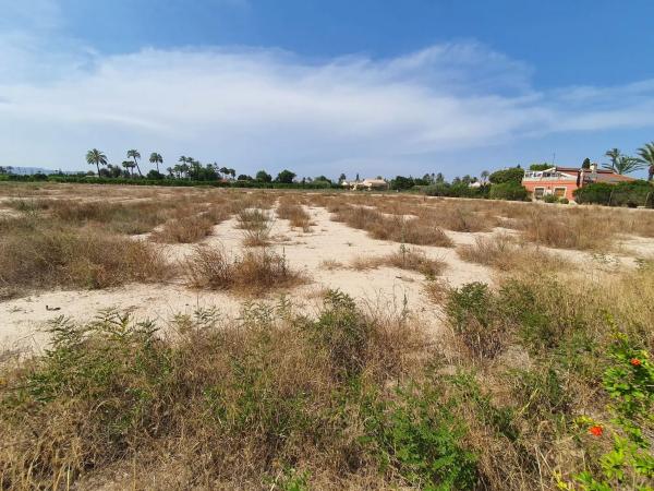 Finca rústica en camino Fondo de l'Ermita, 134