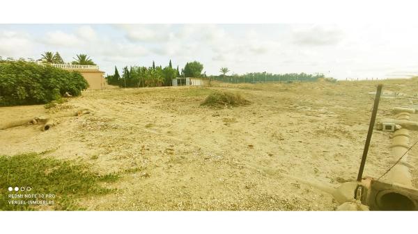 Casa independiente en carretera de Torrellano al Aeropuerto, 96