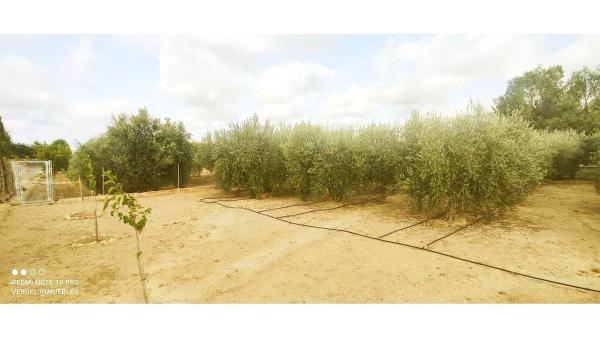 Casa independiente en carretera de Torrellano al Aeropuerto, 96
