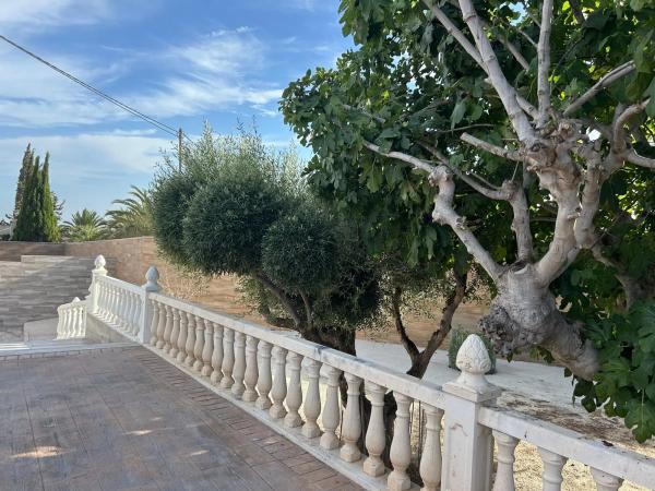 Casa independiente en alto Pd Torrellano, 2051