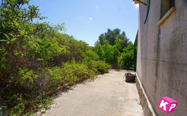 Casa independiente en camino de la Ermita de San Pedro