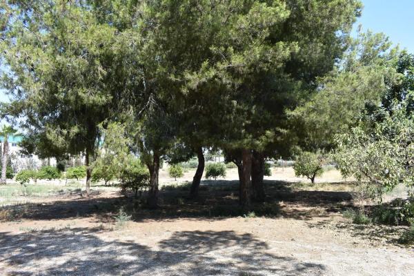 Casa independiente en Asprella