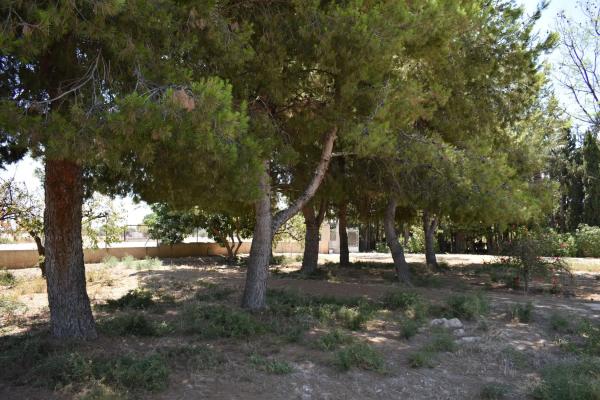 Casa independiente en Asprella