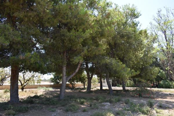 Casa independiente en Asprella