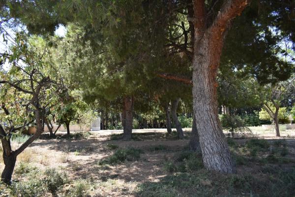 Casa independiente en Asprella