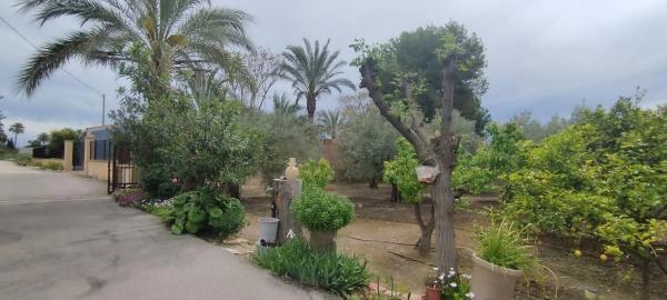 Finca rústica en Partida Algoda