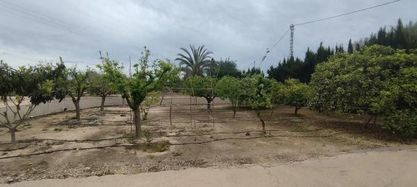 Finca rústica en Partida Algoda