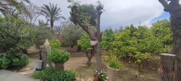 Finca rústica en Partida Algoda