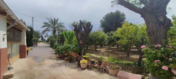 Finca rústica en Partida Algoda