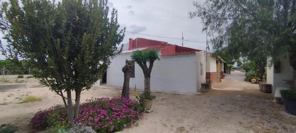 Finca rústica en Partida Algoda