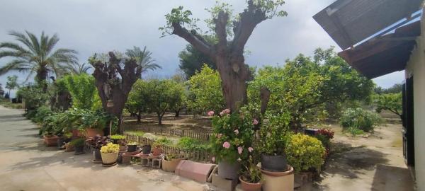 Finca rústica en Partida Algoda