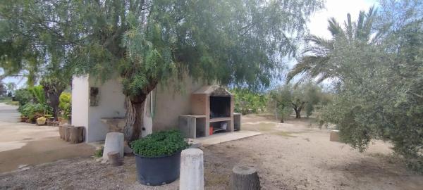 Finca rústica en Partida Algoda