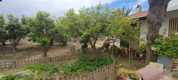 Finca rústica en Partida Algoda