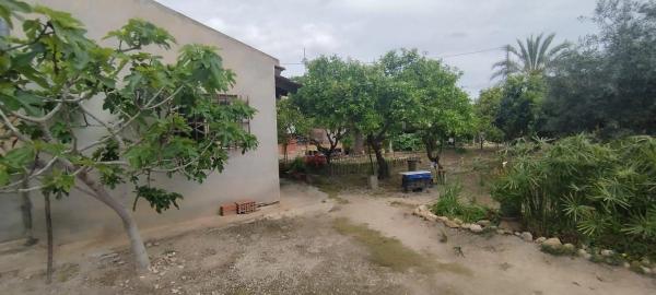 Finca rústica en Partida Algoda