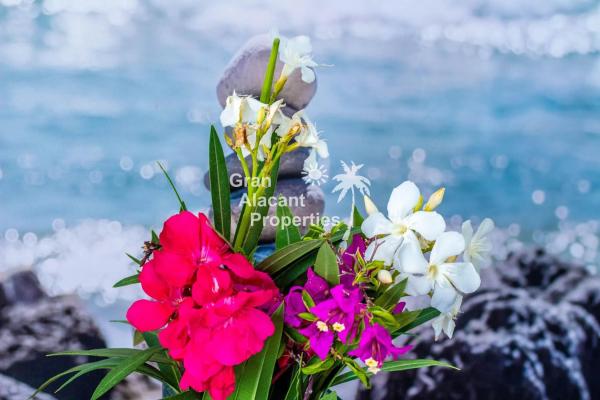 Chalet adosado en calle Orden Dórico