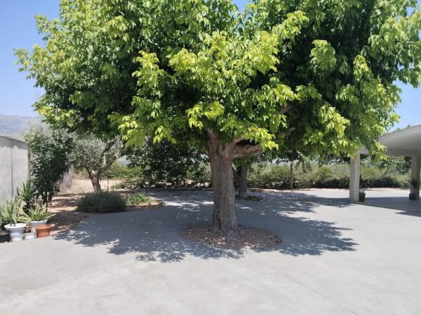 Casa independiente en calle Pare Lluís Fullana
