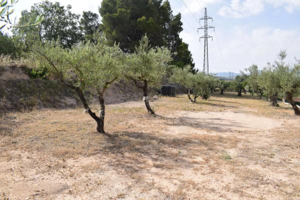 Casa independiente en Partida Franchi, 257