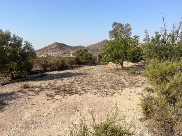 Finca rústica en Partida de la Escandella