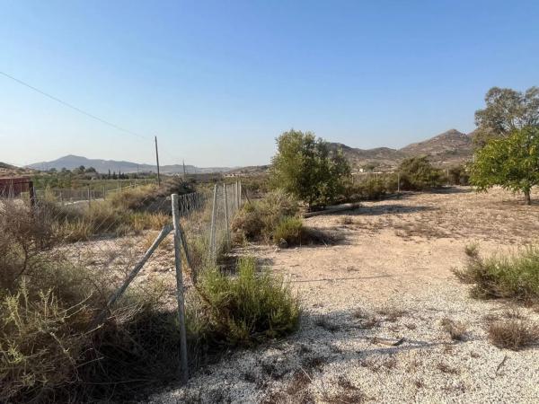 Finca rústica en Partida de la Escandella