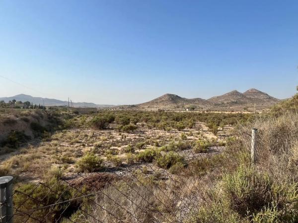 Finca rústica en Partida de la Escandella