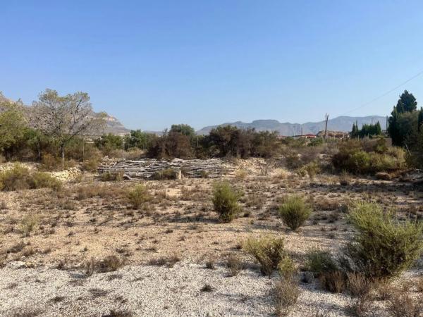 Finca rústica en Partida de la Escandella