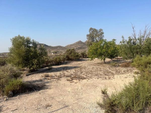 Finca rústica en Partida de la Escandella