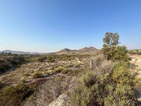 Finca rústica en Partida de la Escandella