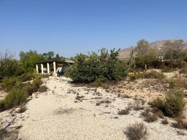 Finca rústica en Partida de la Escandella