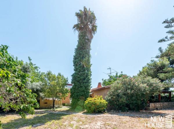 Casa independiente en calle Vial Flora de España