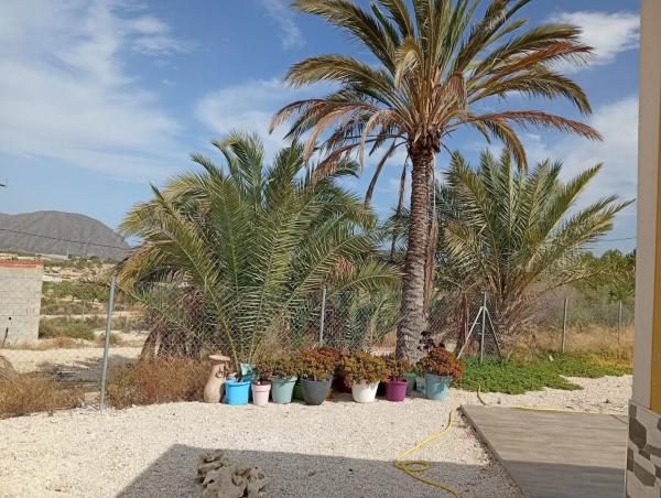 Finca rústica en camino del Rebolledo