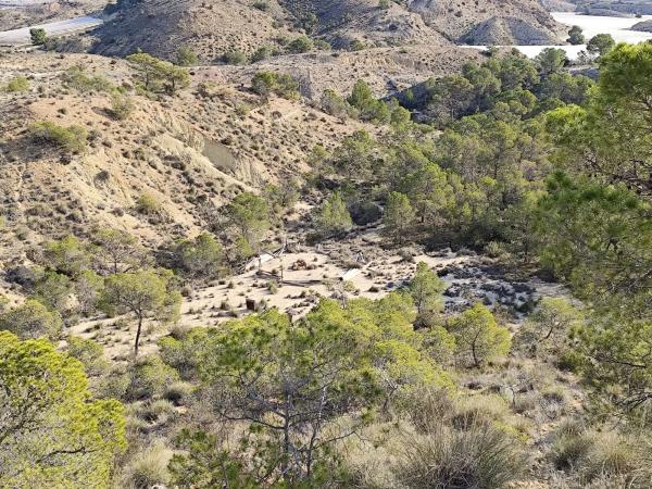 Finca rústica en Diseminado Alcoraya, 17 a