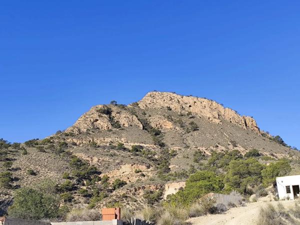 Finca rústica en Diseminado Alcoraya, 17 a