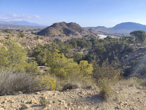 Finca rústica en Diseminado Alcoraya, 17 a