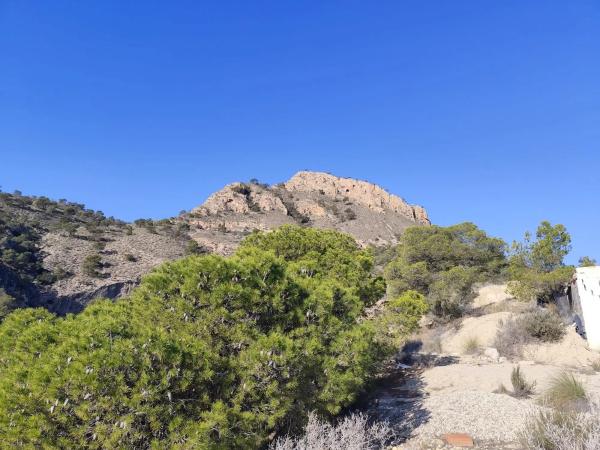 Finca rústica en Diseminado Alcoraya, 17 a