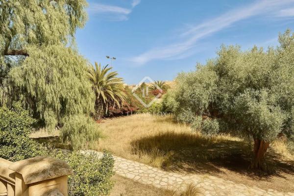 Casa independiente en calle Font del Salmitre