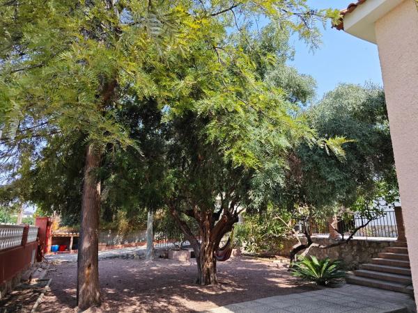 Casa independiente en calle Abedul, 12