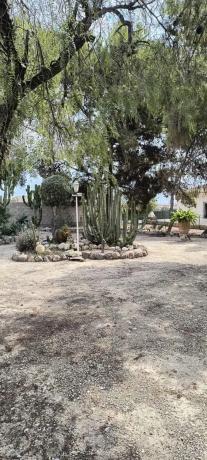 Casa independiente en calle Partida del Raspeig