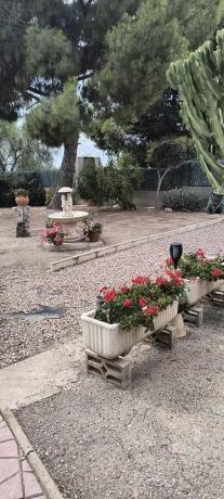 Casa independiente en calle Partida del Raspeig