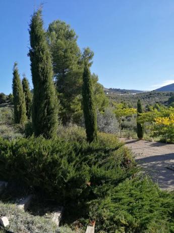 Casa independiente en camino solana