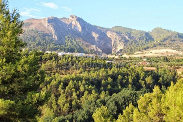 Casa independiente en camino solana