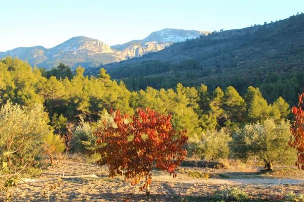 Casa independiente en camino solana