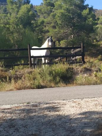 Finca rústica en Poligono Foyetes, 17  a