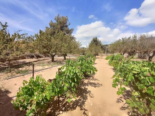 Finca rústica en A-7