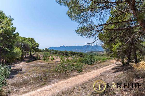 Casa independiente en Partida Doncella