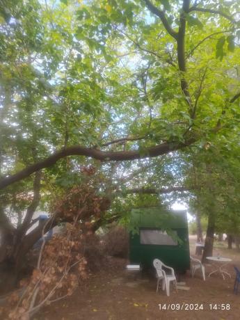 Casa independiente en partida Amarchall, 131