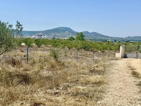 Casa rural en via Sense Nom