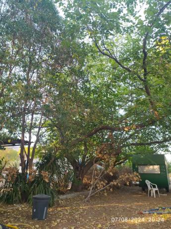 Casa independiente en partida Amarchall, 131