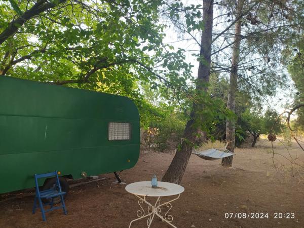 Casa independiente en partida Amarchall, 131