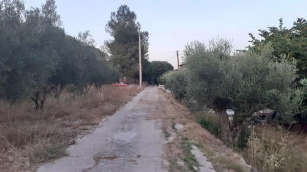 Casa rural en Pd Riquer Alt, 15